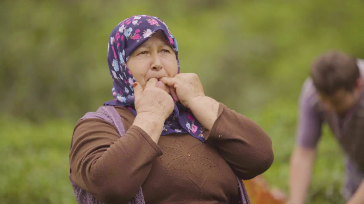 A vila remota turca onde as pessoas 'conversam' com assobios intricados de pássaros