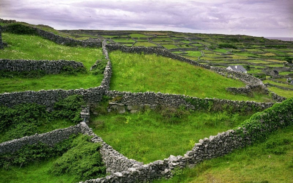 Os incríveis muros de pedra da Irlanda 02