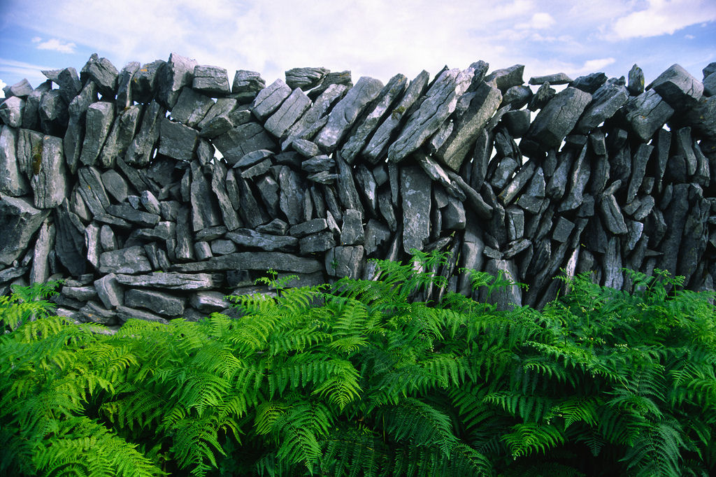 Os incríveis muros de pedra da Irlanda 15