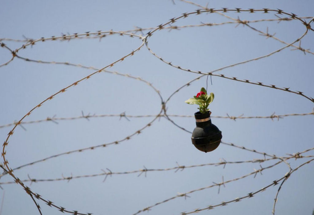 Mulher palestina cultiva flores em granadas de gás lacrimogéneo do exército israelense 03