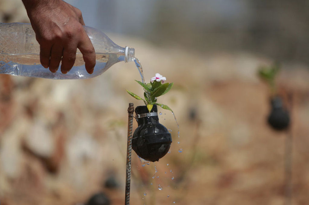 Mulher palestina cultiva flores em granadas de gás lacrimogéneo do exército israelense 04