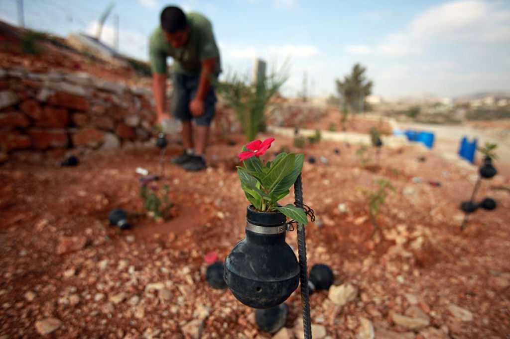 Mulher palestina cultiva flores em granadas de gás lacrimogéneo do exército israelense 06