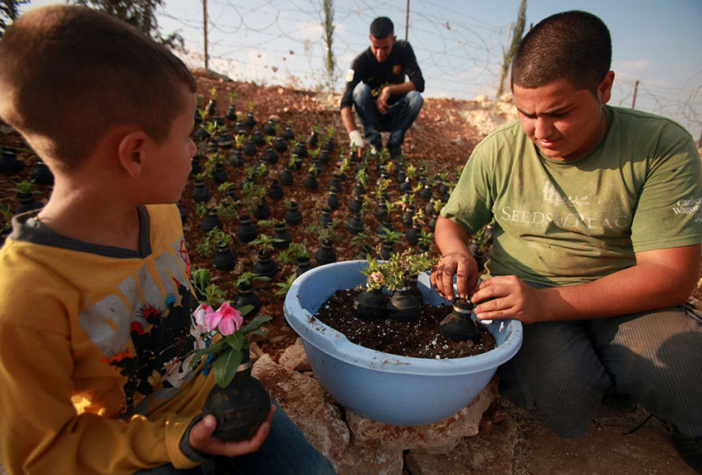 Mulher palestina cultiva flores em granadas de gás lacrimogéneo do exército israelense 08