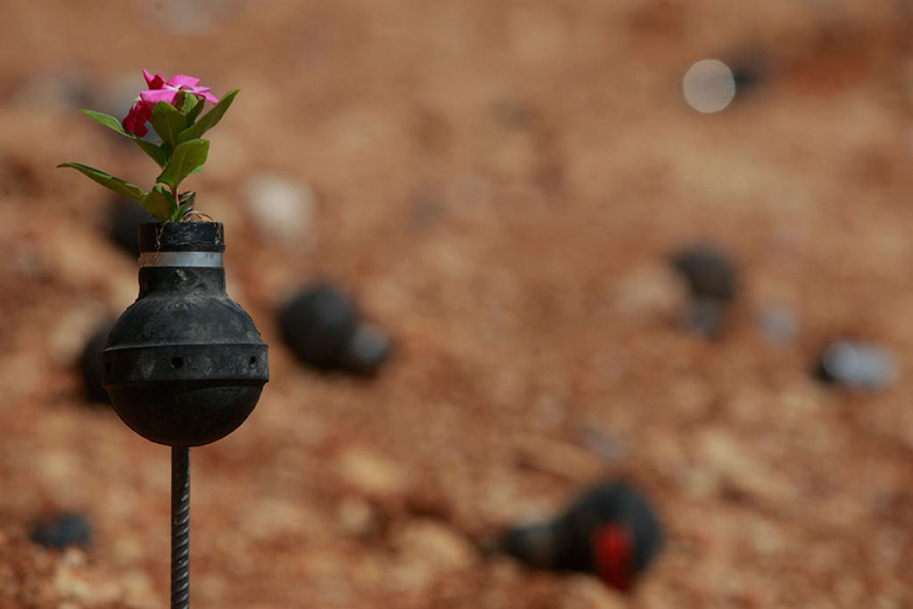Mulher palestina cultiva flores em granadas de gás lacrimogéneo do exército israelense 10