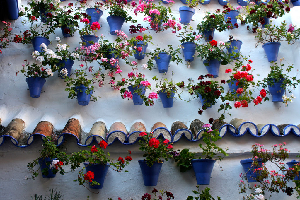 O florido festival dos Pátios de Córdoba 08