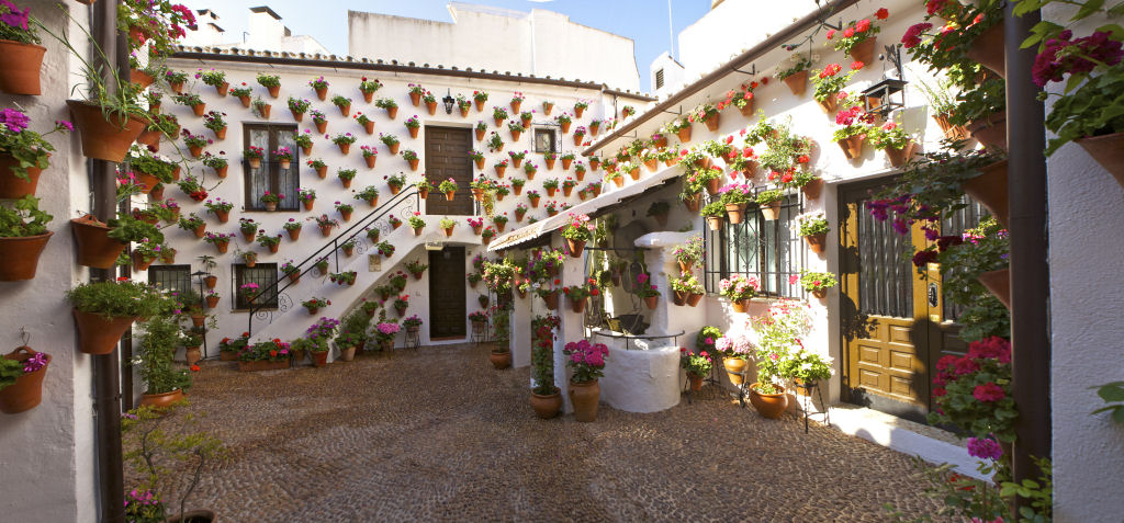 O florido festival dos Pátios de Córdoba 20