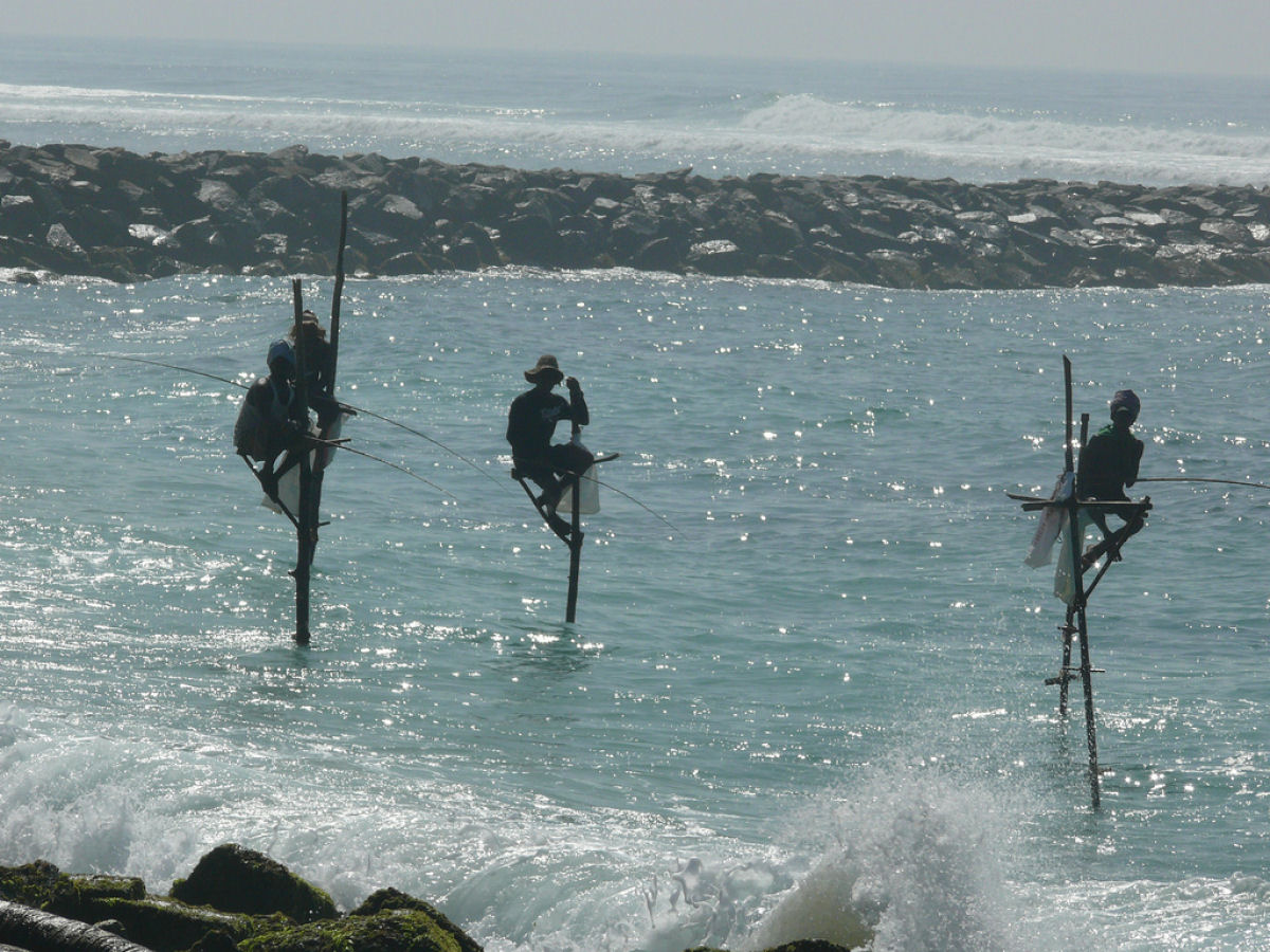 A sui generis pesca de palafita do Sri Lanka 03