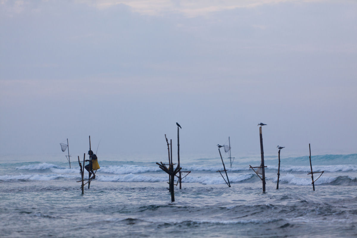 A sui generis pesca de palafita do Sri Lanka 06