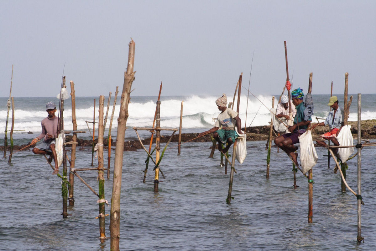 A sui generis pesca de palafita do Sri Lanka 09