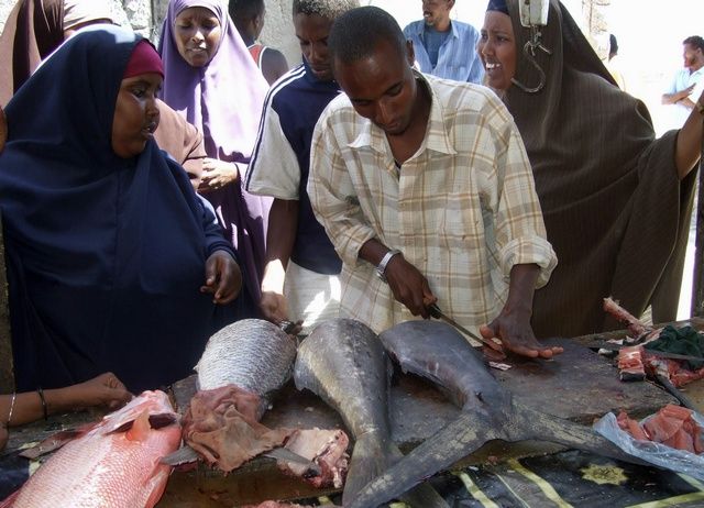 Pescadores somalis 24