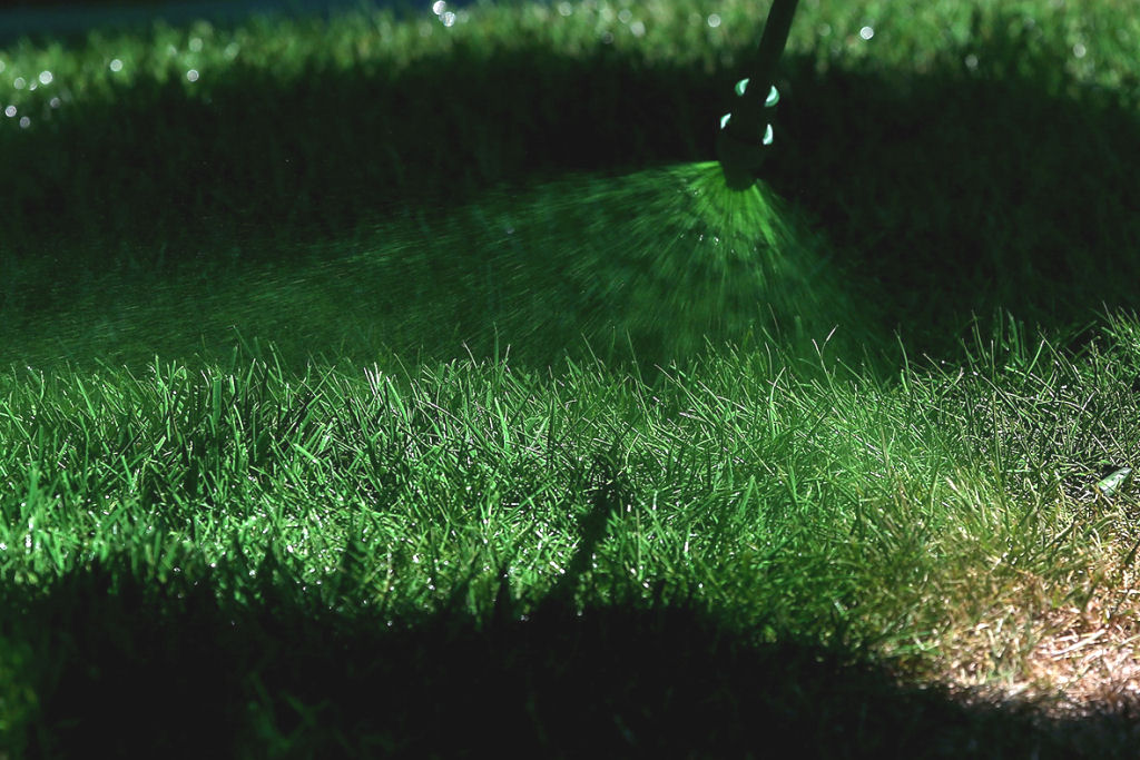 Californianos esto pintando seus gramados de verde para economizar gua durante a seca