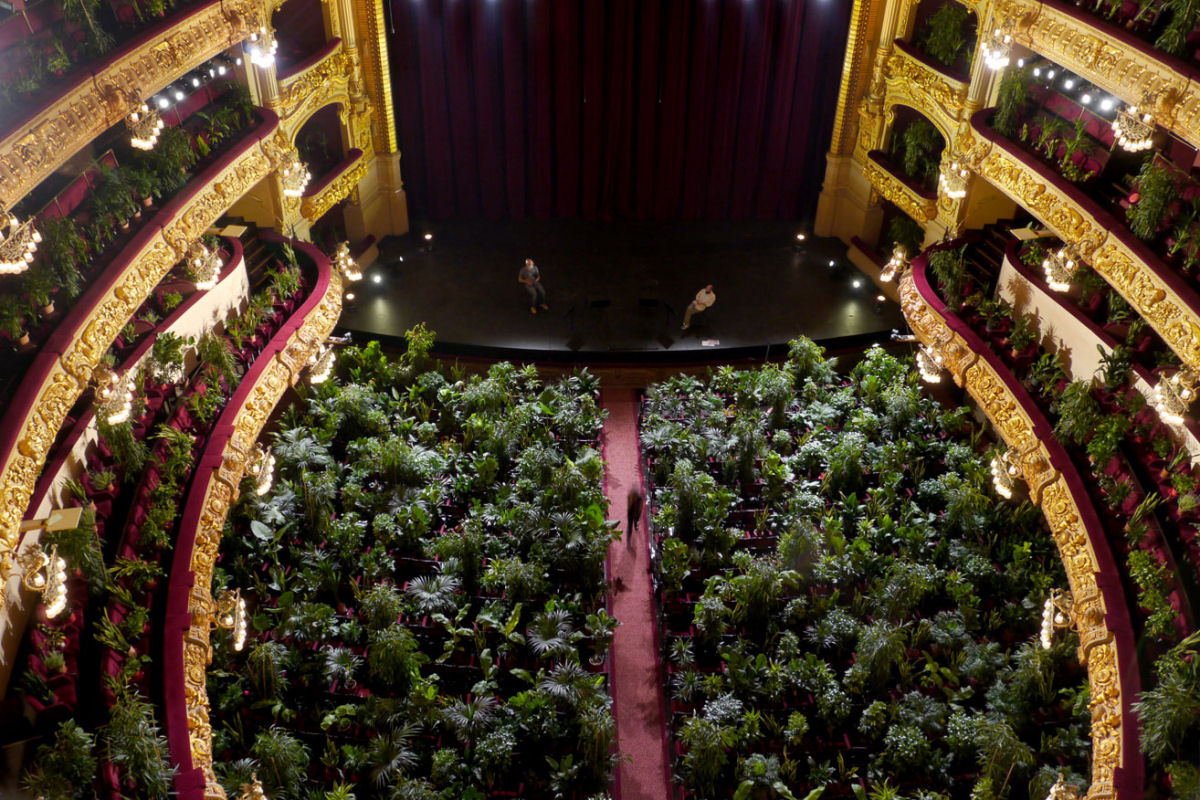 2.292 plantas enchem a plateia na apresentação de abertura do Grande Teatro do Liceu, em Barcelona