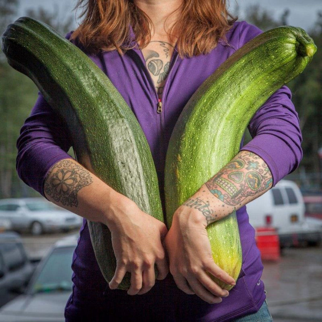 Voc sabe por que os vegetais do Alasca so gigantescos? 04