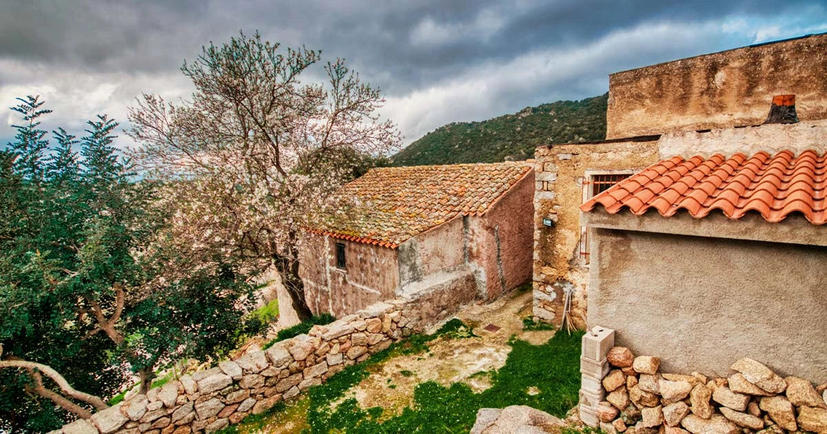 Lollove: a pequena vila da Sardenha com uma antiga maldio