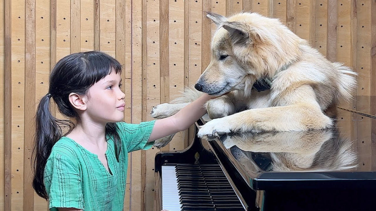 Menina de 7 anos toca piano para seu cachorro adotado