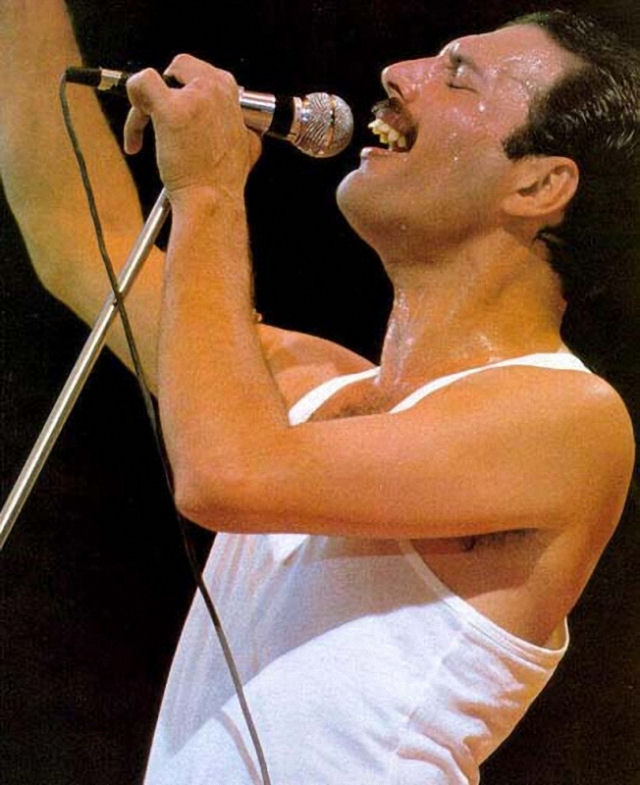 Hoje Freddie Mercury completaria 66 anos 11