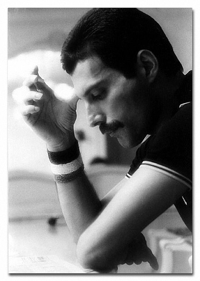 Hoje Freddie Mercury completaria 66 anos 20