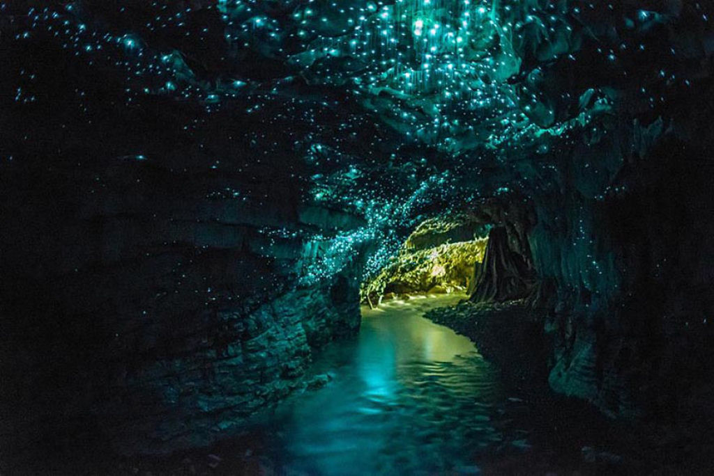 Maravilhas da natureza - A Caverna dos Pirilampos de Waitomo 01