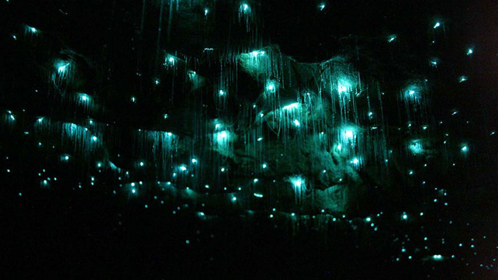 Maravilhas da natureza - A Caverna dos Pirilampos de Waitomo 03