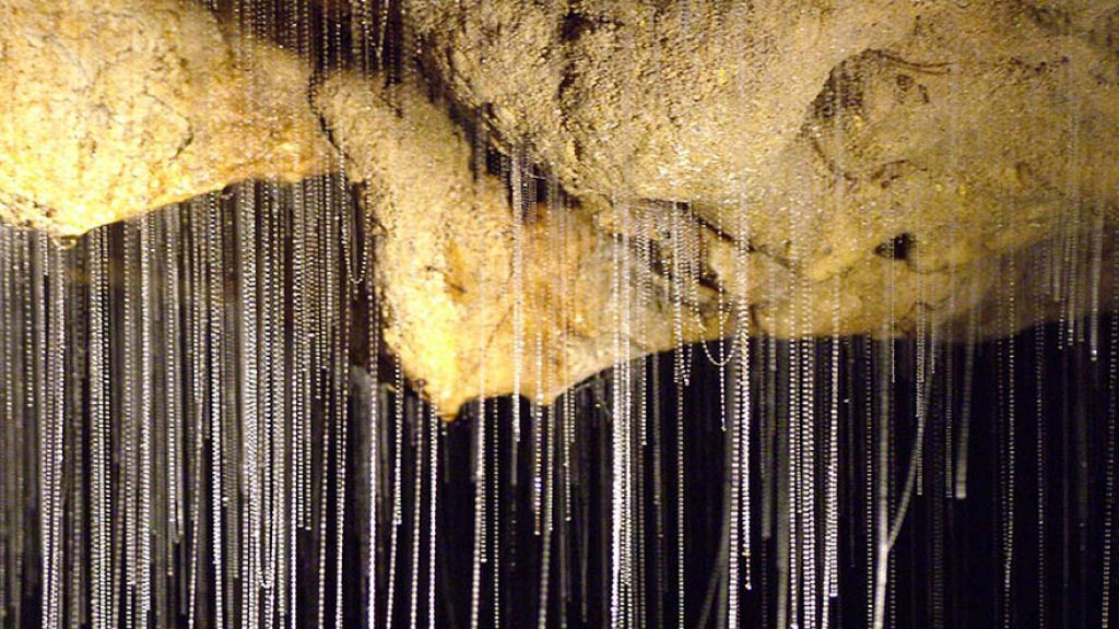 Maravilhas da natureza - A Caverna dos Pirilampos de Waitomo 08