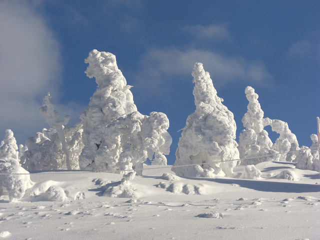 Juhyou, os belos monstros de neve japoneses 08