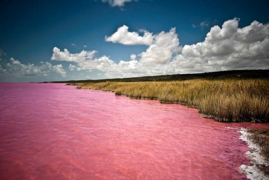 Maravilhas da Natureza - Hillier, o lago rosado da Austrlia 03