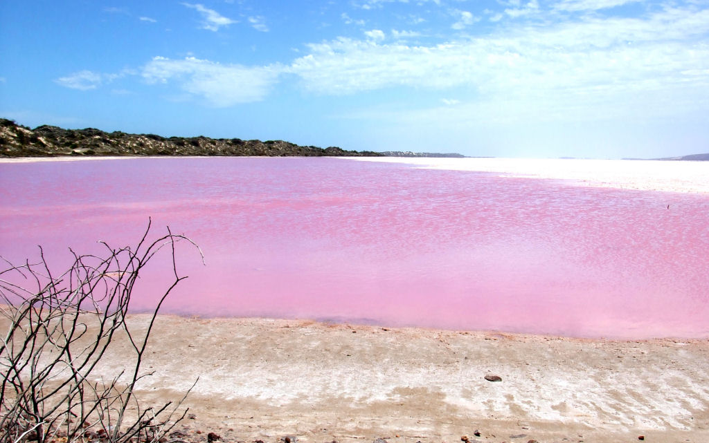Maravilhas da Natureza - Hillier, o lago rosado da Austrlia 05