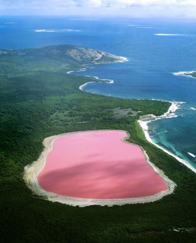 Maravilhas da Natureza - Hillier, o lago rosado da Austrlia 06