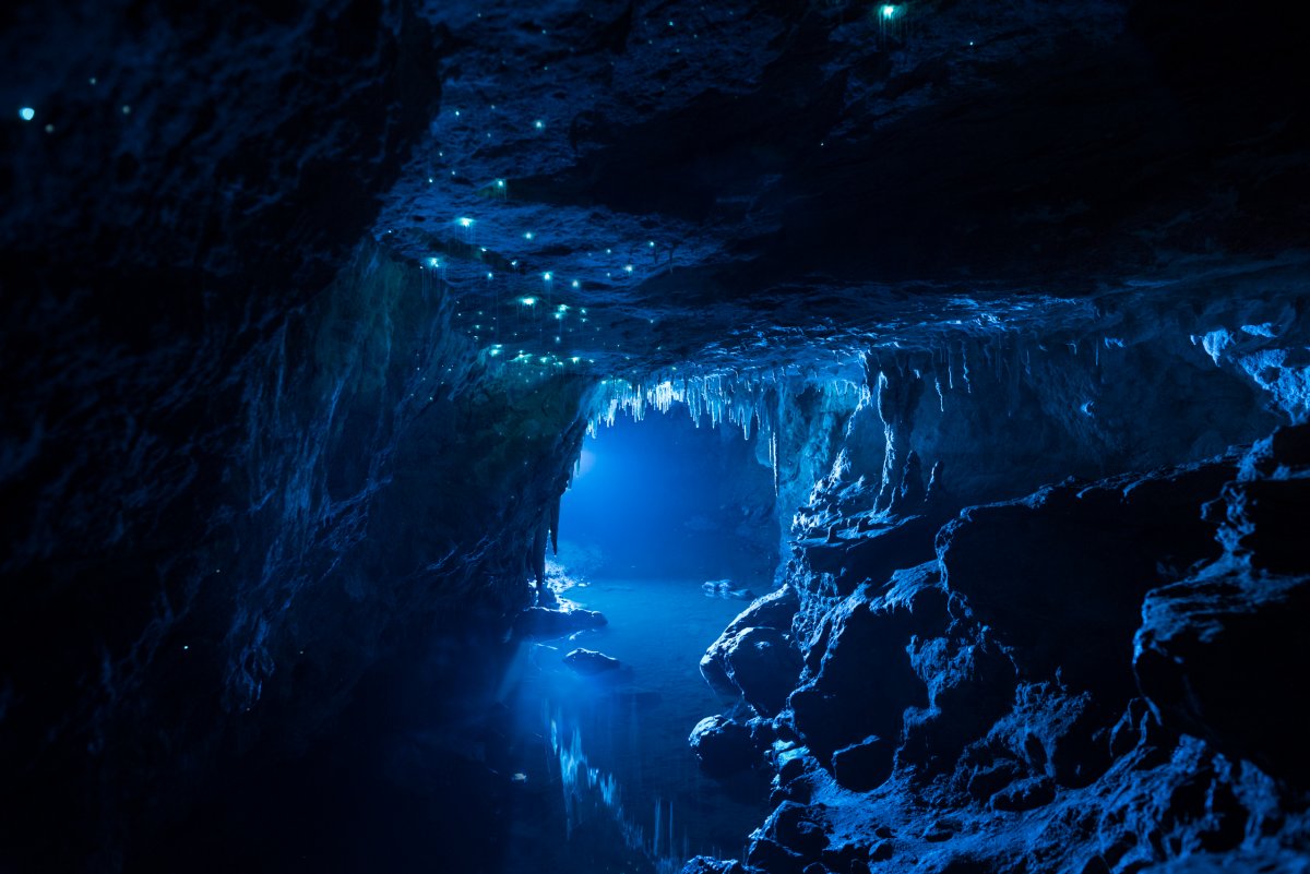 Por que a Nova Zelndia tem cavernas com tetos luminosos e brilhantes? 04