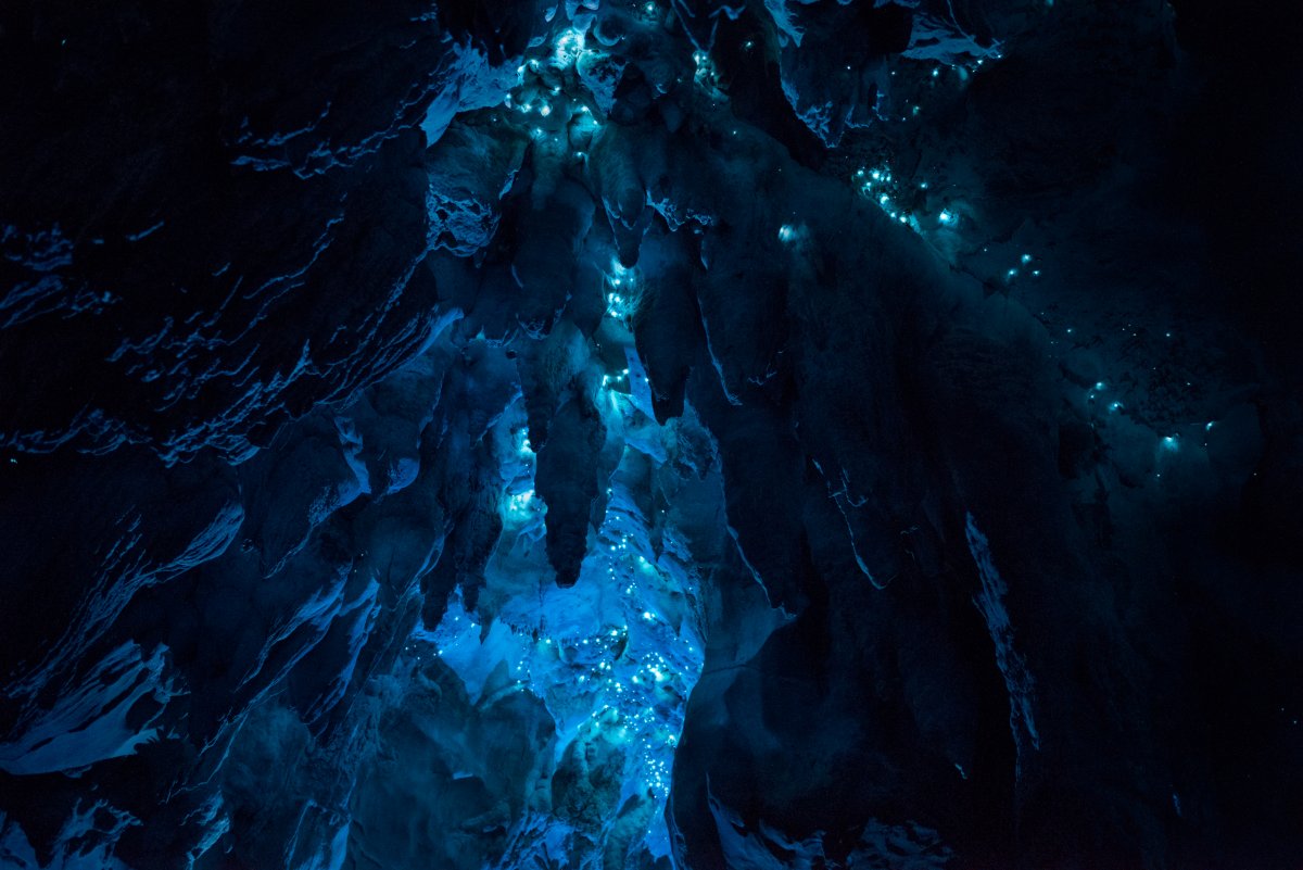 Por que a Nova Zelndia tem cavernas com tetos luminosos e brilhantes? 06
