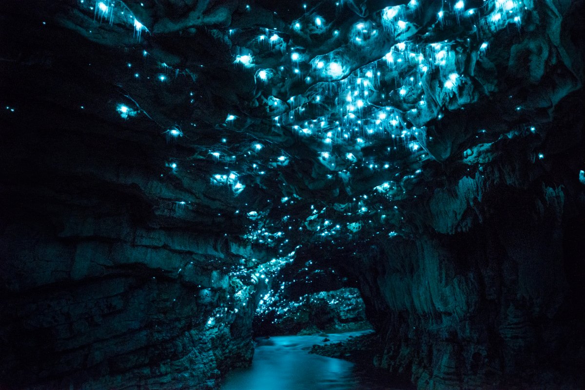 Por que a Nova Zelndia tem cavernas com tetos luminosos e brilhantes? 08