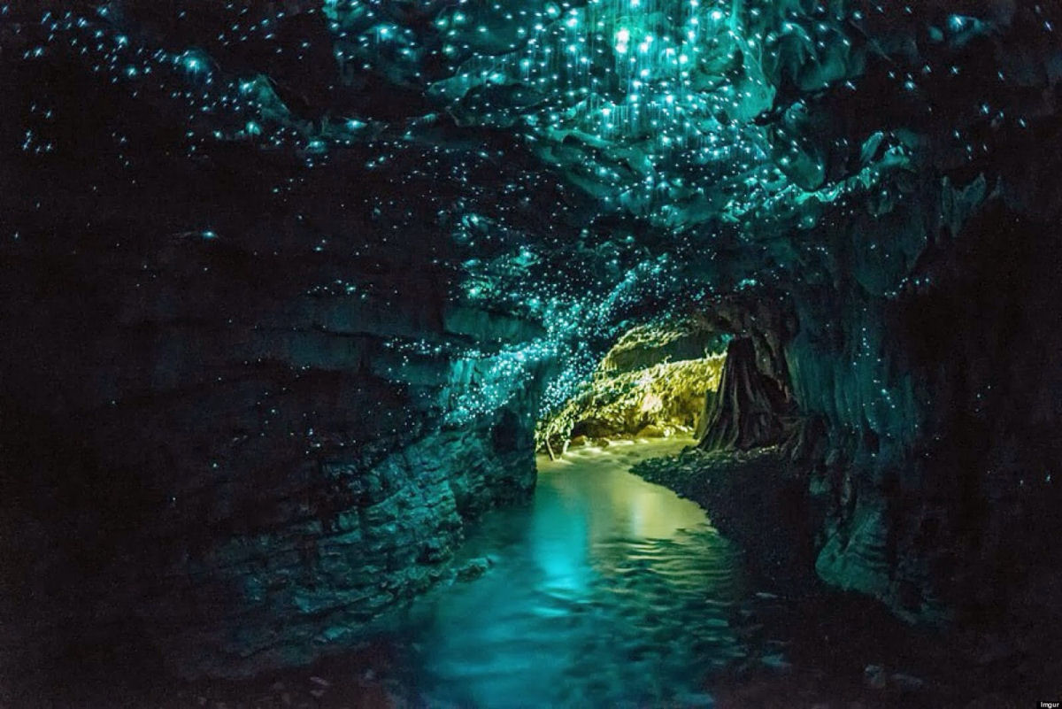 Por que a Nova Zelndia tem cavernas com tetos luminosos e brilhantes? 17