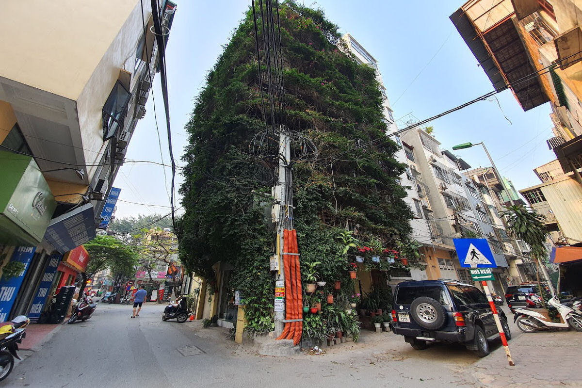Vietnamita usou duas trepadeiras para transformar um edifício de 5 andares em um jardim vertical 01