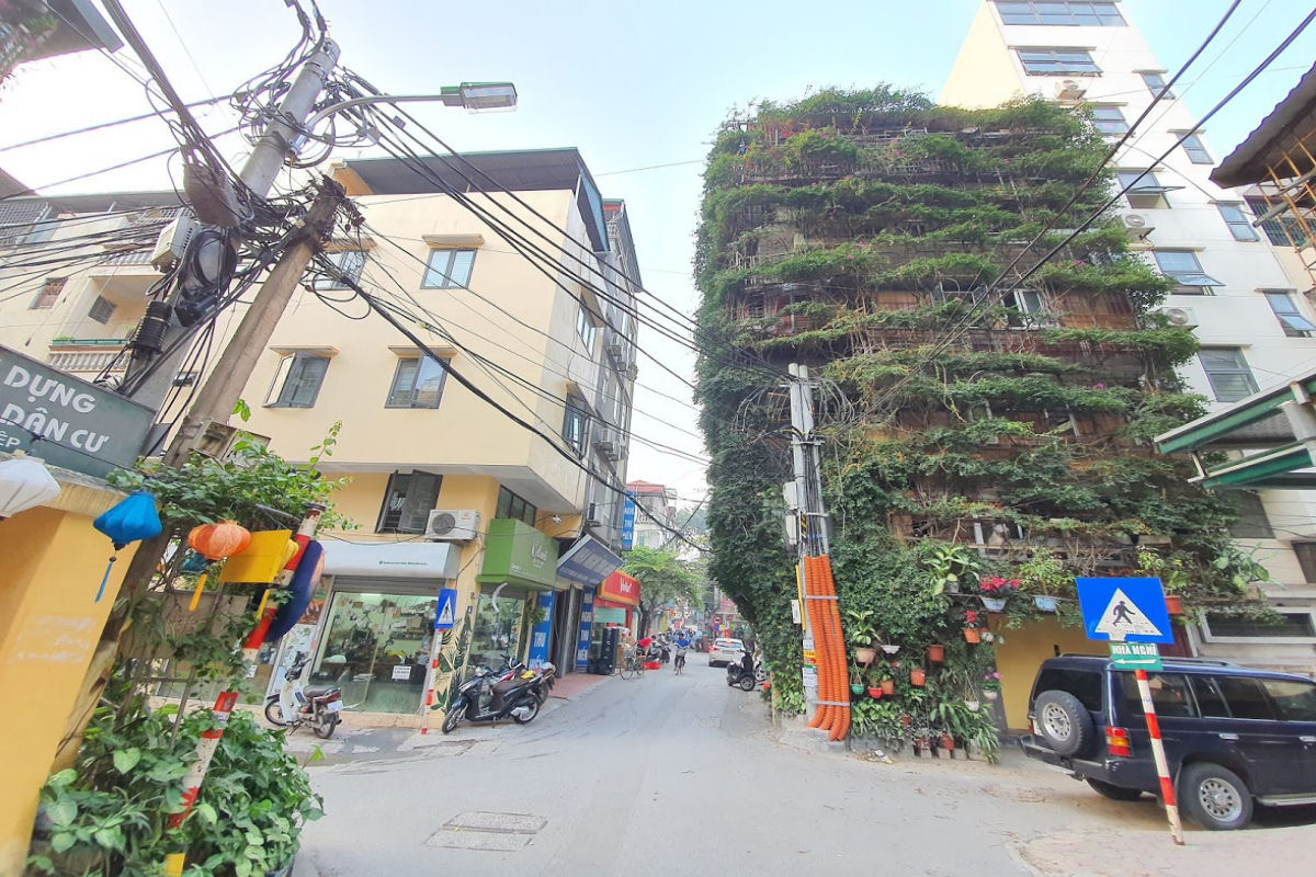 Vietnamita usou duas trepadeiras para transformar um edifício de 5 andares em um jardim vertical 02