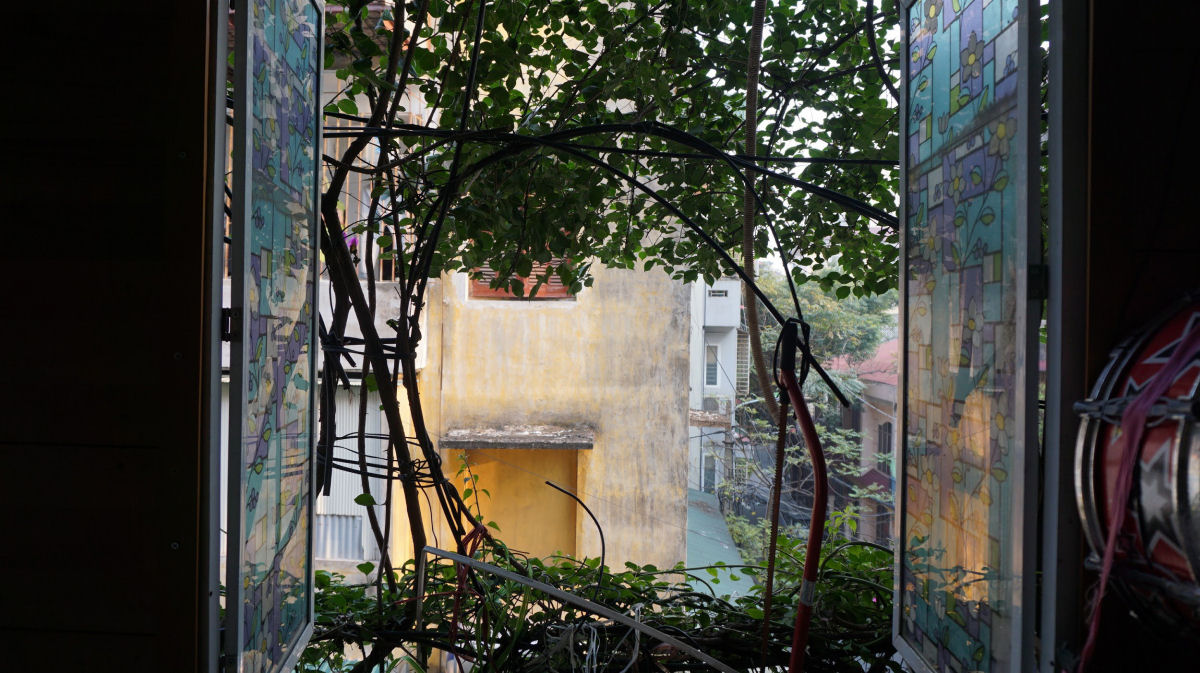 Vietnamita usou duas trepadeiras para transformar um edifício de 5 andares em um jardim vertical 13