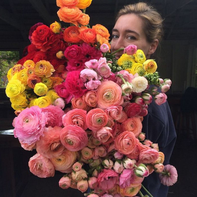 Este Instagram prova que o trabalho dos floristas  a melhor coisa do mundo 03