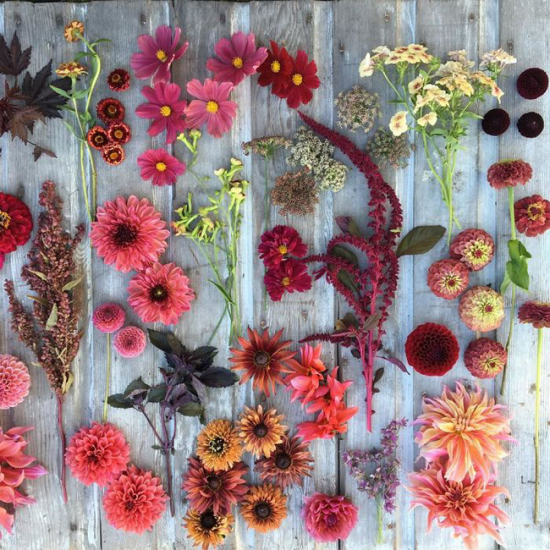 Este Instagram prova que o trabalho dos floristas  a melhor coisa do mundo 04
