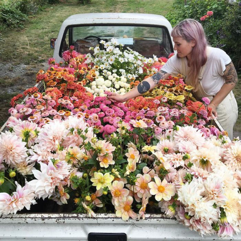 Este Instagram prova que o trabalho dos floristas  a melhor coisa do mundo 05
