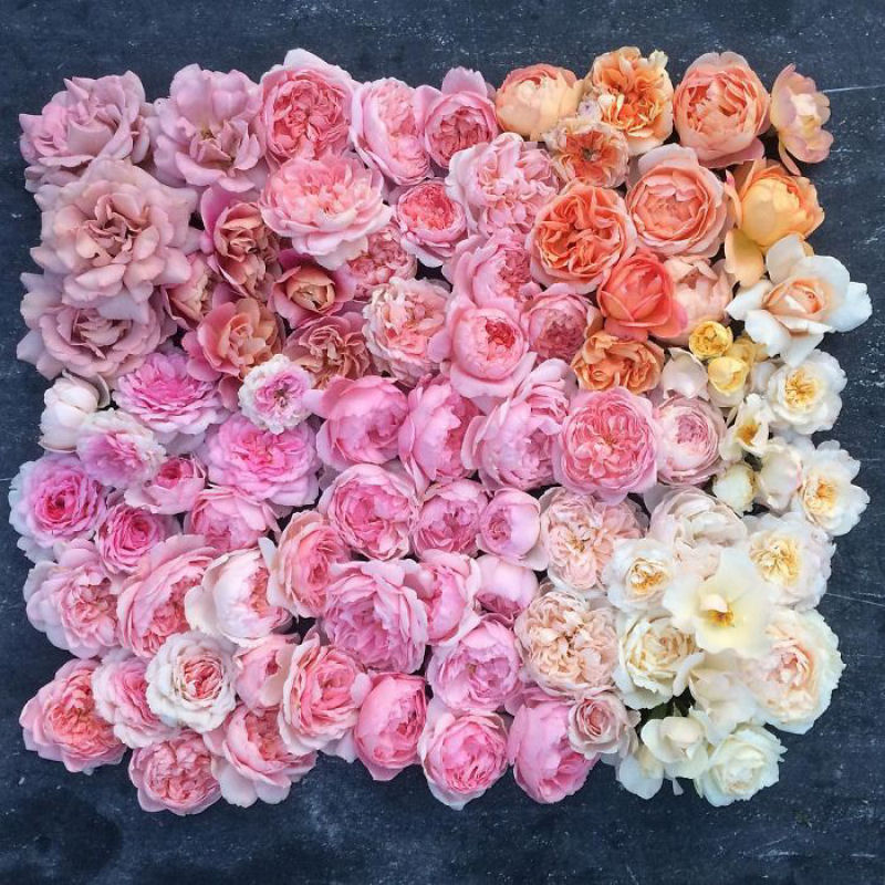 Este Instagram prova que o trabalho dos floristas  a melhor coisa do mundo 06