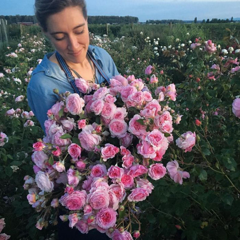Este Instagram prova que o trabalho dos floristas  a melhor coisa do mundo 07