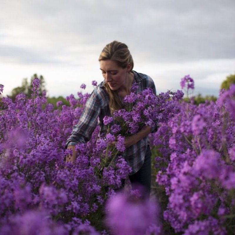 Este Instagram prova que o trabalho dos floristas  a melhor coisa do mundo 11