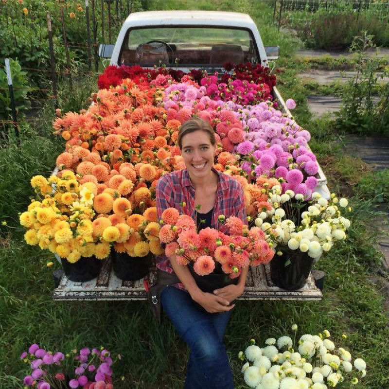 Este Instagram prova que o trabalho dos floristas  a melhor coisa do mundo 14