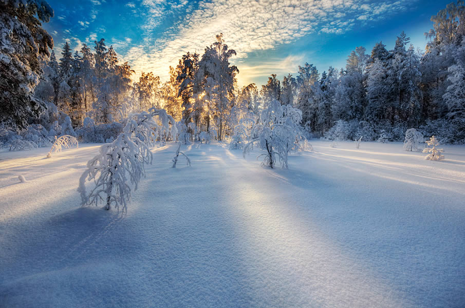 50 incrveis paisagens de Inverno