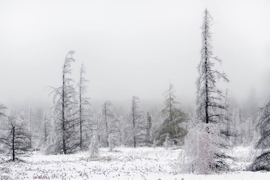 50 incrveis paisagens de Inverno