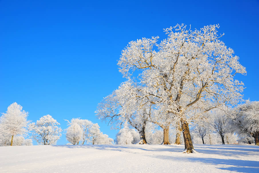 Featured image of post Paisagem De Inverno No Brasil / Veja mais ideias sobre lindas paisagens, paisagem de inverno, natureza.