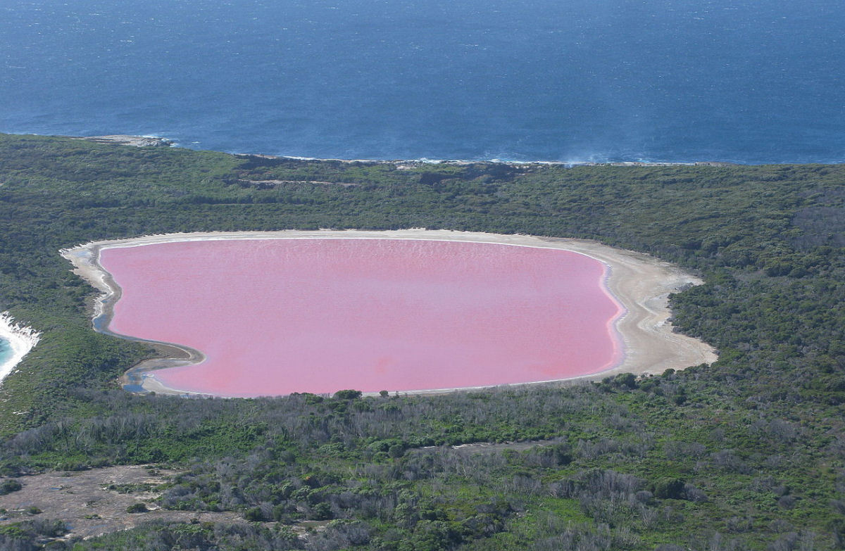 Por que a Austrália tem centenas de lagos cor-de-rosa brilhantes?