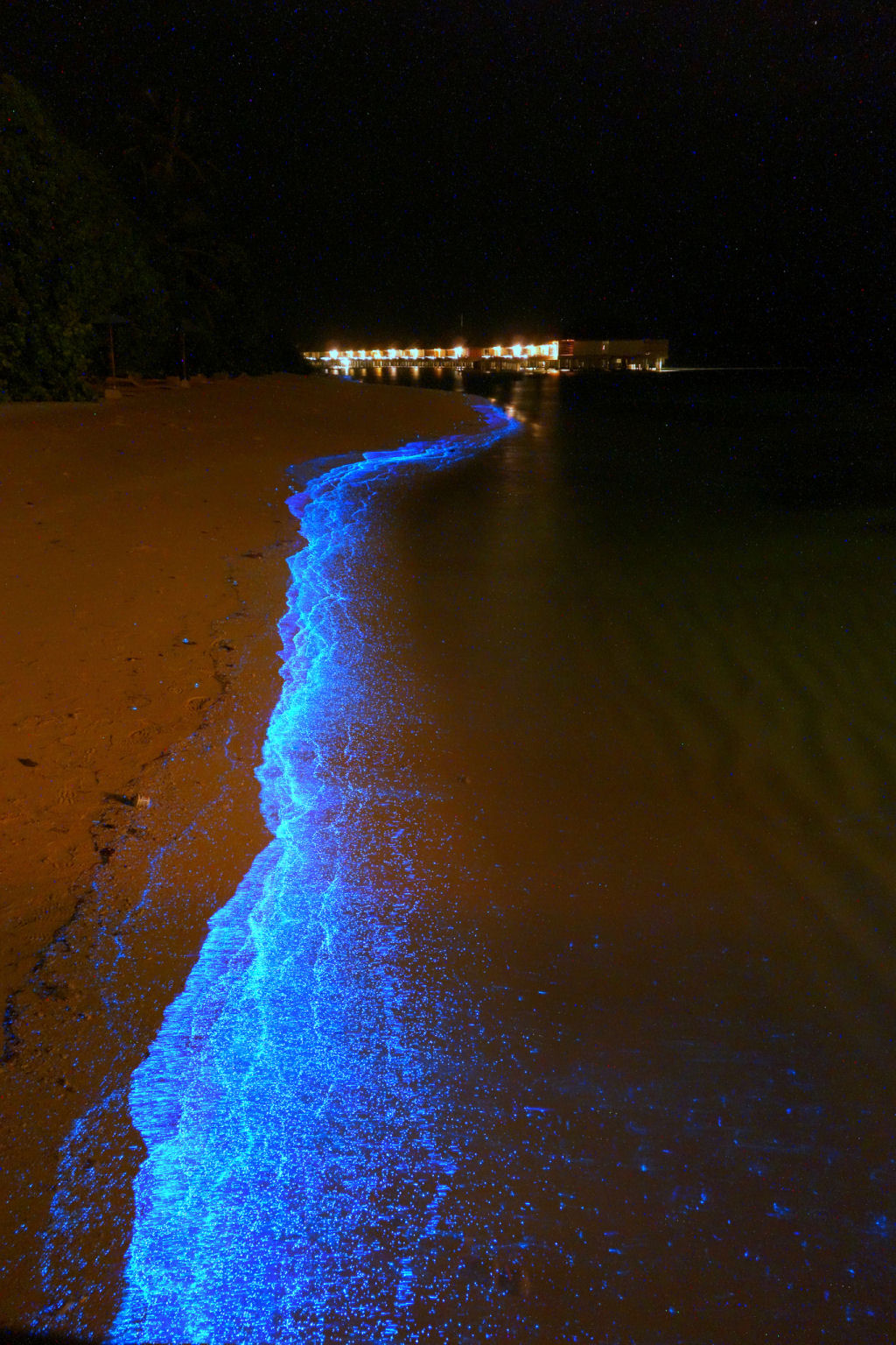 Praia nas Maldivas inundada de fitoplnctons bioluminescentes parece um oceano de estrelas 02