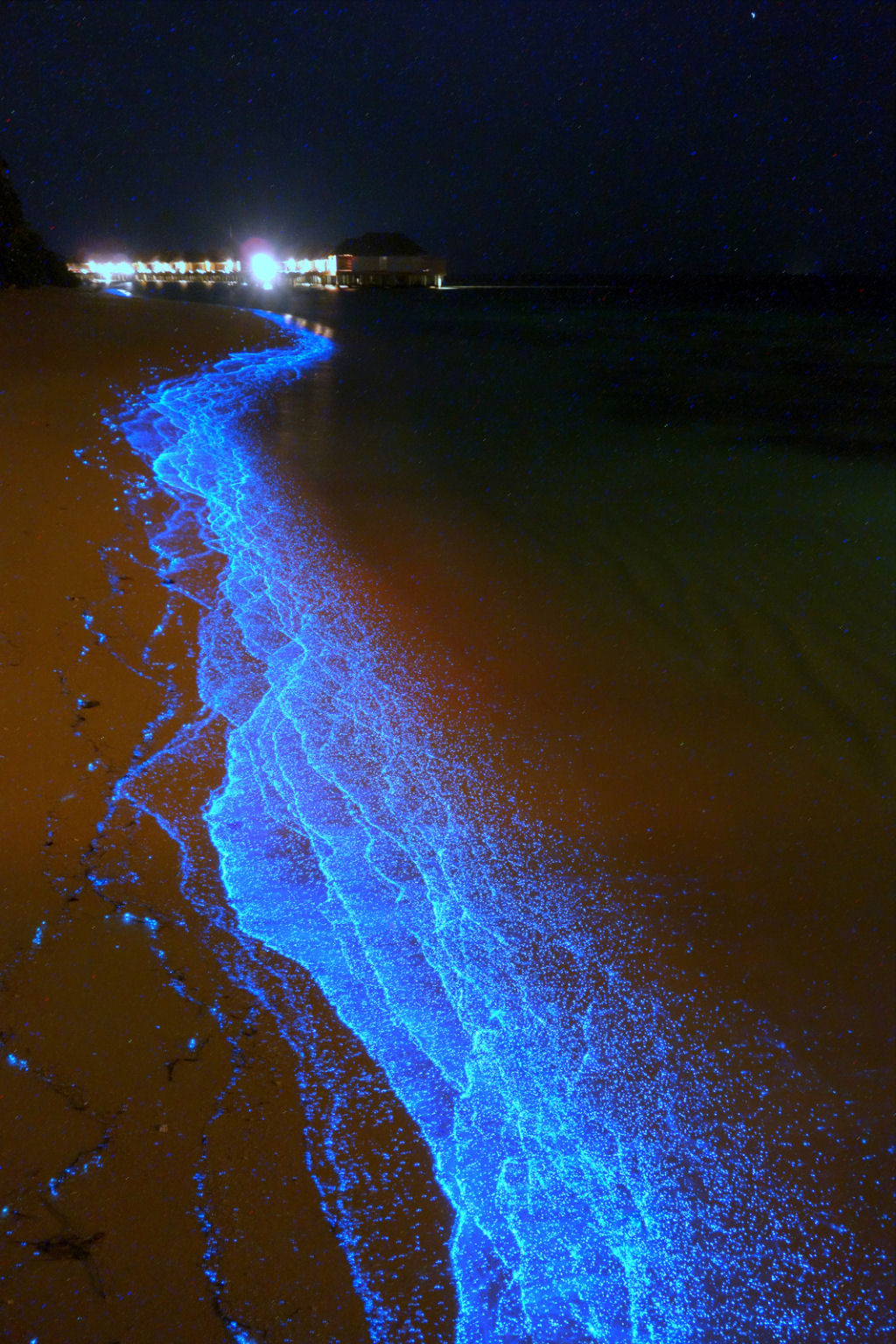 Praia nas Maldivas inundada de fitoplnctons bioluminescentes parece um oceano de estrelas 08