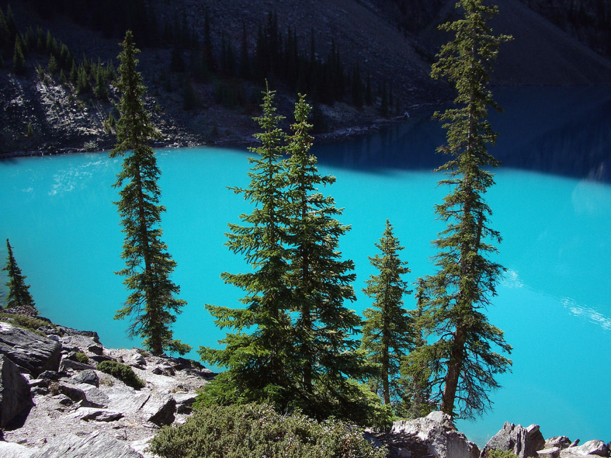 Maravilhas da Natureza - Parque Nacional Banff 15