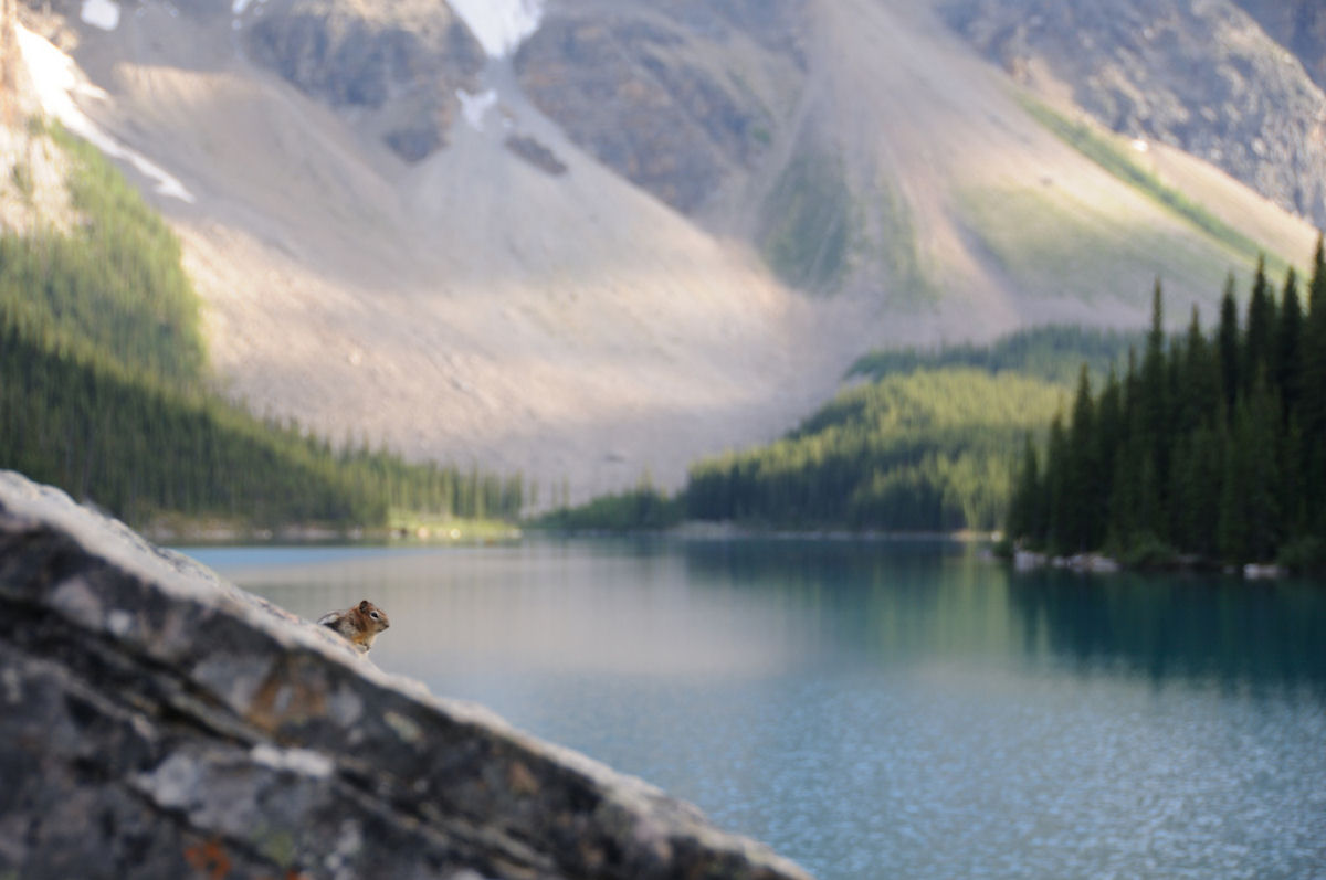 Maravilhas da Natureza - Parque Nacional Banff 40